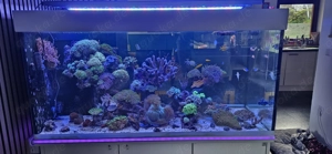 AQUARIUM mit Filterbecken