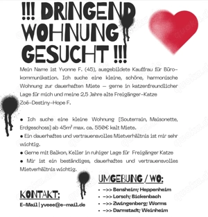 Wohnungsgesuch   Zuverlässige Mieterin mit Katze sucht langfristiges Zuhause