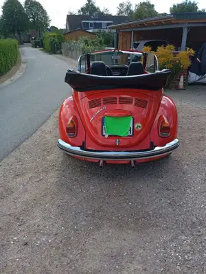 Volkswagen Käfer Bild 3