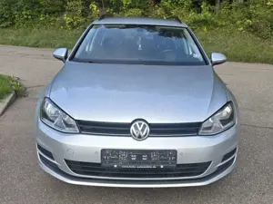 Volkswagen Golf Golf Alltrack 1.6 TDI Bild 5
