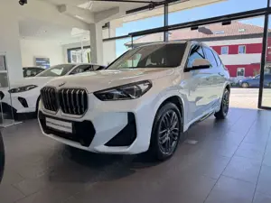 BMW X1 sDrive20i M Sport M Sportpaket HK HiFi DAB