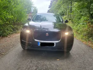 Jaguar F-Pace 20d AWD Aut. Pure Bild 2
