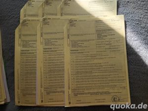 Griechische Landschildkröten DNZ 2023 und 2024