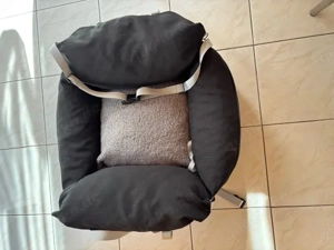 Lesure Hundesitz Auto kleine Hunde