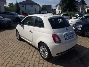 Fiat 500 1.0 Klima*Carplay* Bild 3