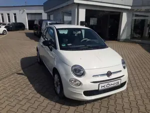 Fiat 500 1.0 Klima*Carplay* Bild 2