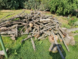 Brennholz  Feuerholz abzugeben