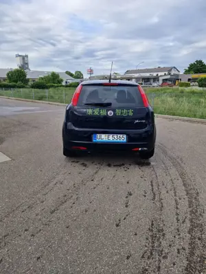 Fiat Punto 1.250 Bild 3