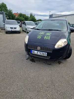 Fiat Punto 1.250 Bild 2