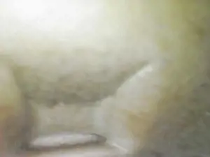 Mazda MX-5 MX-5 1.6i 16V Phoenix Bild 5