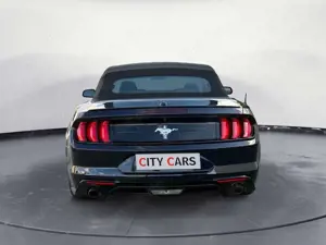 Ford Mustang Cabrio 2.3 Leder LED Navi Kamera Bild 5