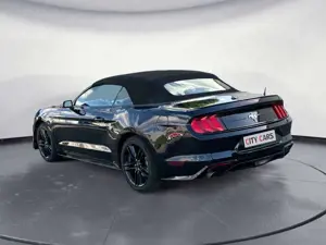 Ford Mustang Cabrio 2.3 Leder LED Navi Kamera Bild 4