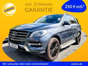 Mercedes-Benz ML 350 LUFTFED ALCANTARA AHK 8FACH