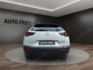 Mazda MX-30 35,5 kWh 145PS AdVantage Modern Confidence ACAA+KA Bild 4