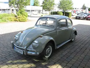 Volkswagen Käfer