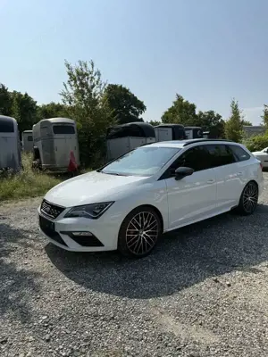 SEAT Leon Cupra 300 Bild 1