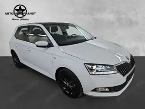 Skoda Fabia 1.0 TSI Drive LED NAVI Sitzh. ACC CarPlay