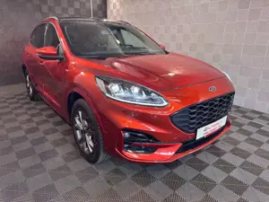 Ford Kuga *ST-LINE X*BO-AHK-PANO-HUD-LED-TEMPO-APPLE