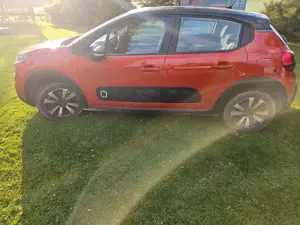 Citroen C3 C3 Pure Tech 82 SHINE Bild 5