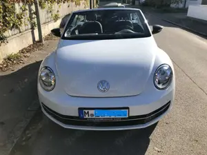 Volkswagen Beetle The Beetle Cabriolet 2.0 TSI Sport, Neuzustand Bild 2