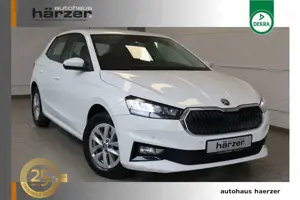 Skoda Fabia Style DSG *LED*NAV*Virtual*RFK*PDC*SHZ*DAB
