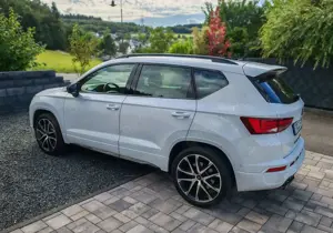 CUPRA Ateca Ateca 2.0 TSI 4Drive DSG - AHK - Panorama