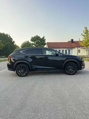 Lexus NX 300h E-FOUR Executive Line *Winterreifen NEU* Bild 5