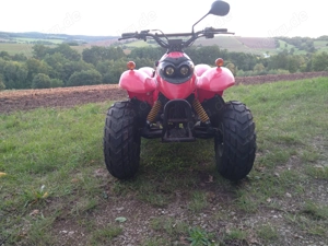 MZ Panther 50 Quad 