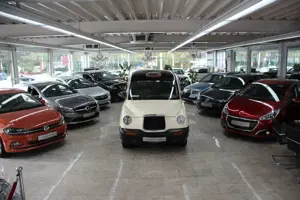 LEVC Others Levc Carbodies *7-Sitzer*
