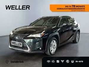 Lexus UX 250h Business Edition *Navi*ACC*Kamera*CarPlay*LMF*