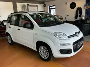 Fiat Panda My Panda 1.HAND/KLIMA/MEDIA-IN Bild 4