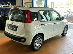 Fiat Panda My Panda 1.HAND/KLIMA/MEDIA-IN Bild 5
