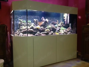 Meerwasseraqaurium , komplett, ca. 1000 Liter !