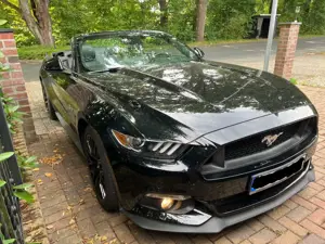Ford Mustang Mustang Cabrio 5.0 Ti-VCT V8 Aut.GT Bild 2