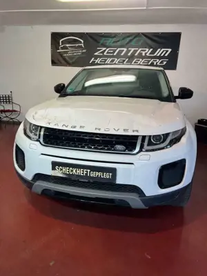 Land Rover Range Rover Evoque SE 2,0 4X4 Kamera Navi