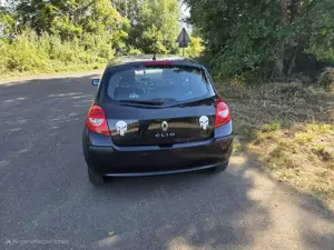 Renault Clio 1.2 16V Ripcurl Bild 5