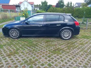 Opel Signum 1.9 CDTI Cosmo