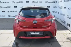 Toyota Corolla Hybrid Team D*Navi* Bild 4