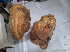 Olivenholz Maserknollen