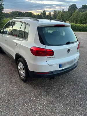 Volkswagen Tiguan 2.0 TDI DPF BlueMotion Technology Trend  Fun Bild 4