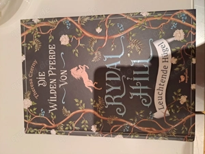 Kinderbuch die wilden Pferde von Rydal Hill