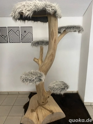 Naturkratzbaum aus Buche