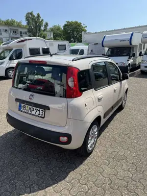 Fiat Panda Bild 4