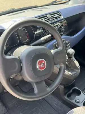 Fiat Panda Bild 5