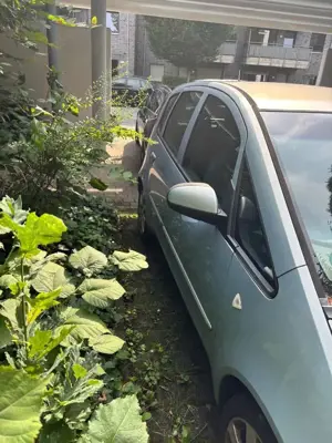 Mitsubishi Colt Colt 1.1 Bild 5