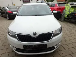Skoda Rapid/Spaceback Spaceback/Euro 6/AHK Bild 1