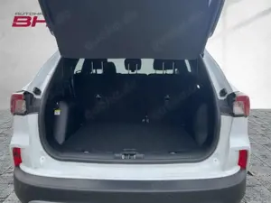 Ford Kuga 2,0EcoBlue 150 PS ATG 4x4 Titanium Bild 5