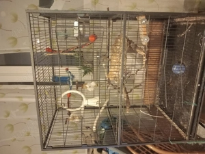 Großer Vogelkäfig mit Zubehör  Bild 2