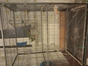 Großer Vogelkäfig mit Zubehör  Bild 3
