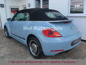 Volkswagen Beetle Bild 4